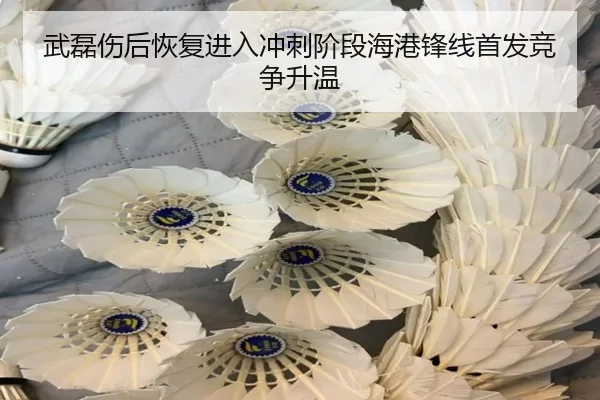 武磊伤后恢复进入冲刺阶段海港锋线首发竞争升温